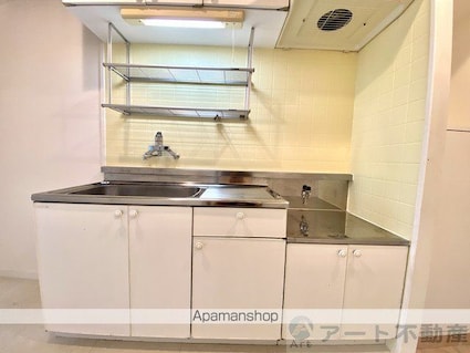 ブラウンハイムⅢ[1K/24.18m2]のキッチン