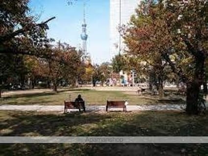 パークアクシス錦糸公園[1LDK/31.08m2]の周辺3