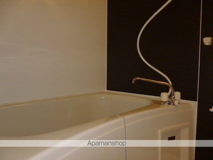 アメニティ　ハウス[1SDK/46.45m2]のバス