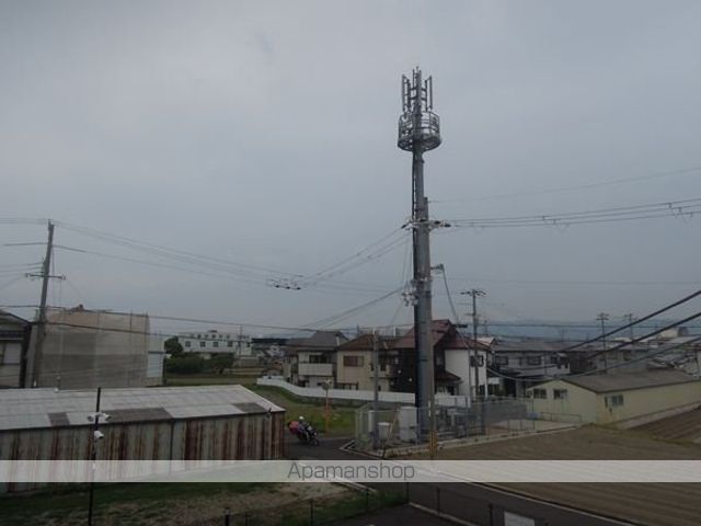 コリーヌ二色のその他写真