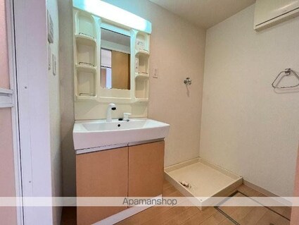 熊本県荒尾市蔵満[2DK/45.63m2]の洗面所