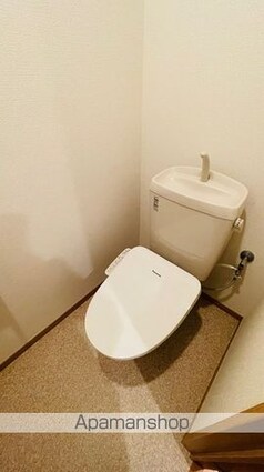 ロイヤルパークスリバーサイド[1LDK/60.97m2]のトイレ