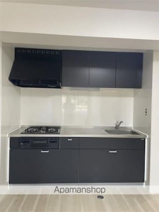 ディラヴェール田柄[2LDK/61.56m2]のキッチン