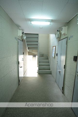 AMAPOLAIIIのその他写真
