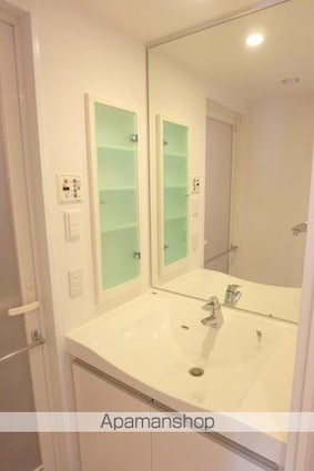 エスティメゾン錦糸町Ⅱ[1LDK/41.02m2]の洗面所