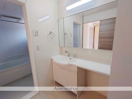 Ｄーｒｏｏｍ西庄[2LDK/64.86m2]の洗面所
