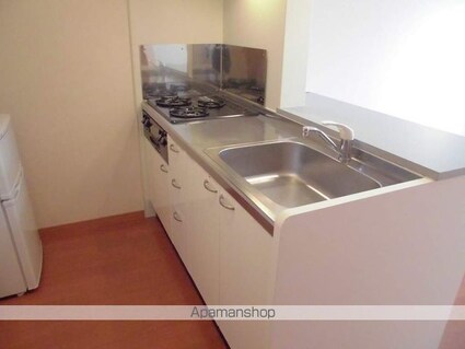 レオパレスアークハイムⅡ[1K/31.05m2]のキッチン