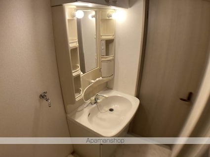 プロニティ桜宮[2LDK/51m2]の洗面所