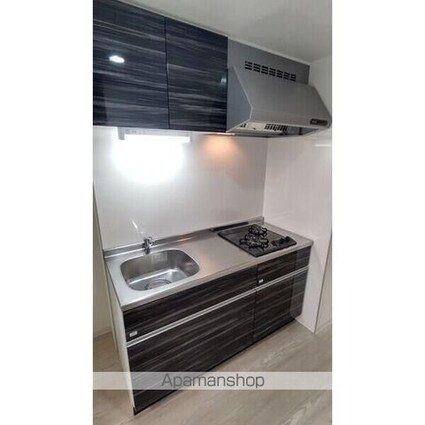 ＬＡＰＩＳ　ＴＷＯＬＥＳ[1K/28m2]のキッチン