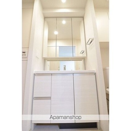 ライトテラス秋葉原[1LDK/43.52m2]の洗面所