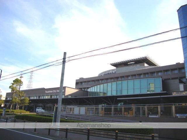 ブルーデイジーの周辺写真