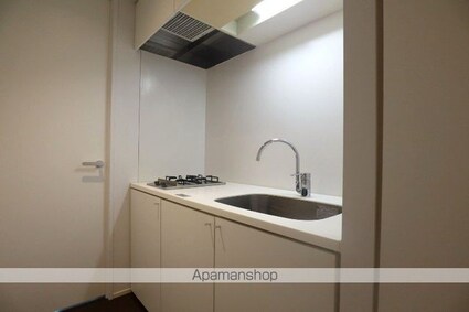 カスタリア市ヶ谷[1K/30.4m2]の収納