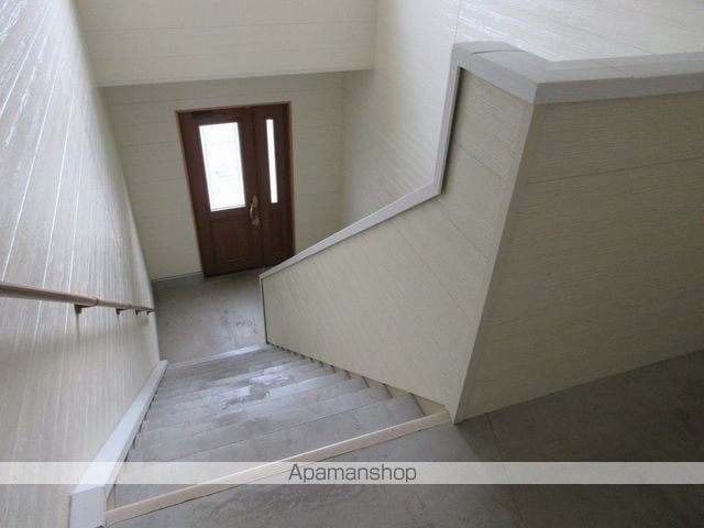 ヴィオラIIIBのその他写真