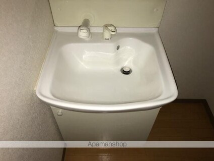 セレーノ[1K/29.75m2]の洗面所