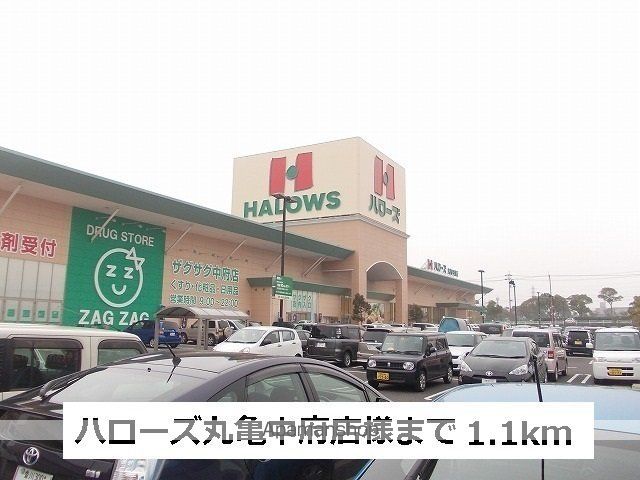メゾンディオールII Bの周辺写真
