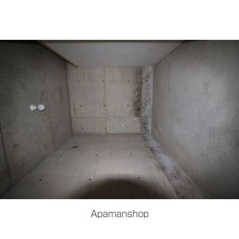 たんぽぽのその他写真