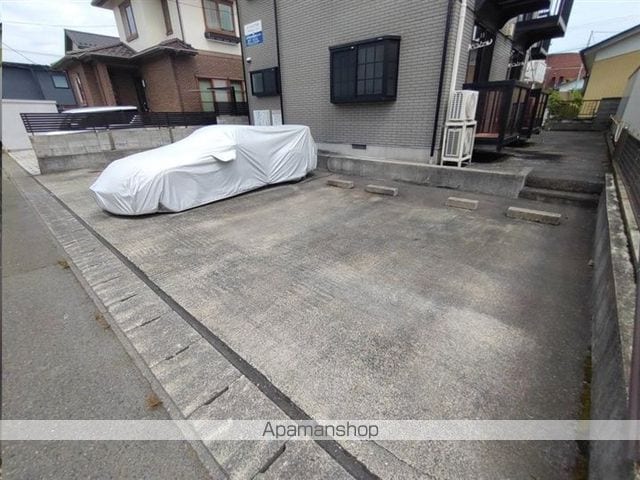 ハイツシマヌキのその他写真