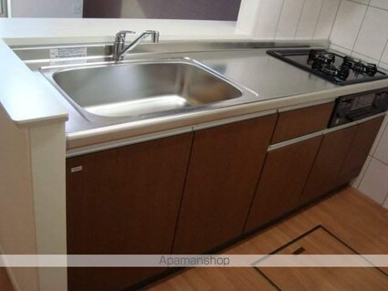 マイ　リバーサイド[1LDK/47.93m2]のキッチン