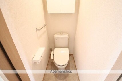 ルミエール[1LDK/33.39m2]のトイレ