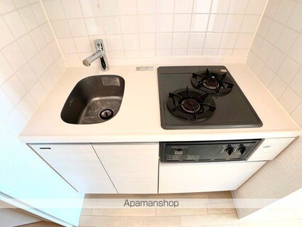 ジョイシティ住吉Ⅱ[1R/24.01m2]のキッチン3