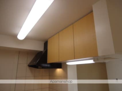 グリーンコート上ノ台[1LDK/38.1m2]のキッチン2