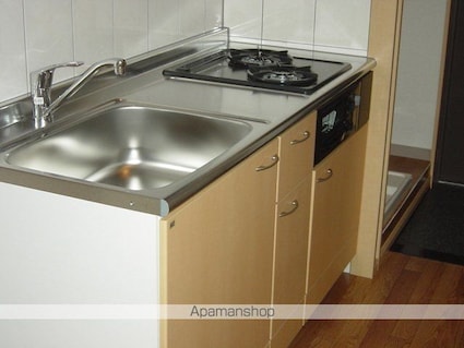 オアシスコート古沢[1K/24.75m2]のキッチン