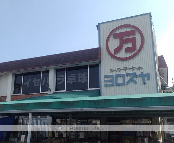 メイ シェノンの周辺写真