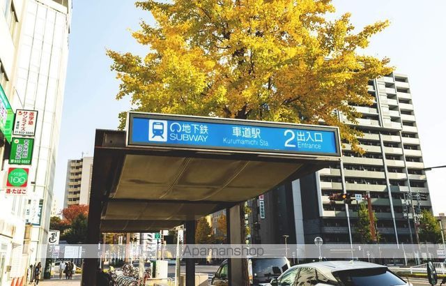GRAND ESPOIR 車道の周辺写真