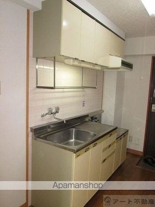 ミラハイツ枝松[1K/21.42m2]のキッチン