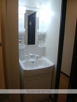 レオネクスト立花[1K/27.35m2]の洗面所