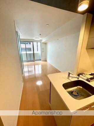 レジディア芝大門Ⅱ[1LDK/41.43m2]のその他内装