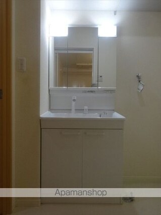 シャーメゾン金龍寺丁[2LDK/53.09m2]の洗面所