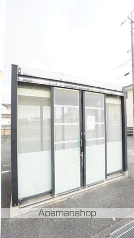 オレンジペコーのその他写真