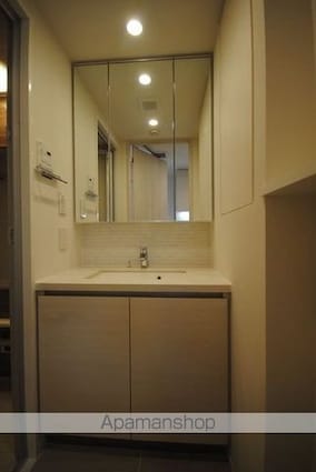 ザ・パークハビオ三軒茶屋テラス[1K/25.48m2]の洗面所