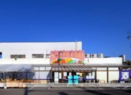 レオネクスト桜[1K/28.02m2]の共用部3