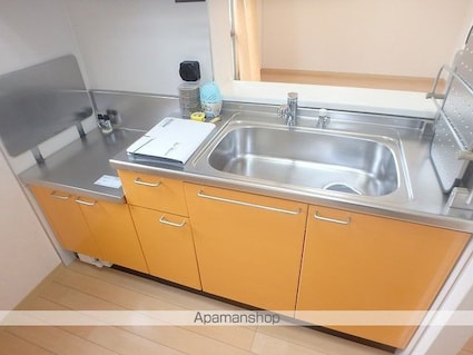 ルミエール沙羅[1LDK/43.75m2]のキッチン