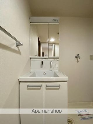 クリスタルパレス[2LDK/61.75m2]の洗面所