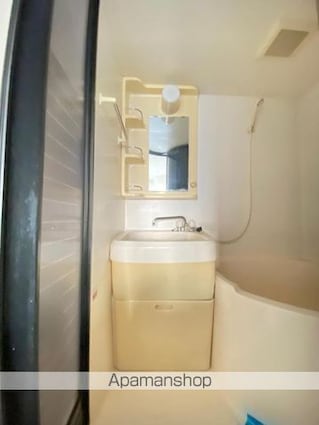 ラ・パルフェ・ド・コゼット[1R/21m2]の洗面所