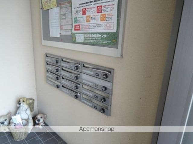 DI COLZAのその他写真