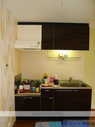 パークヒル津田　Ｂ棟[2LDK/48.36m2]のキッチン
