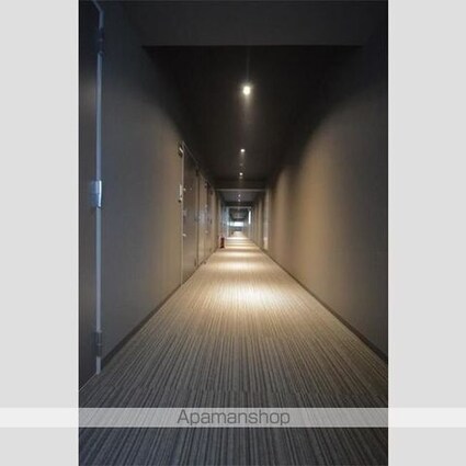 ケーディーエックスレジデンス豊洲[1K/32.02m2]のその他内装6