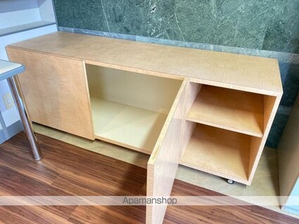 コリドールシュッド[1R/26.9m2]の収納