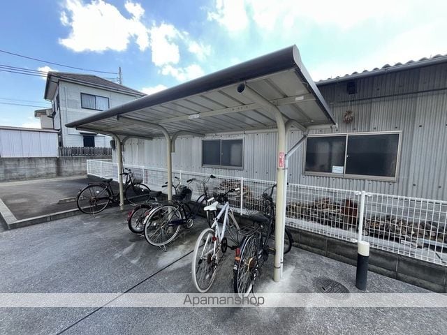 レオネクストモミの木のその他写真