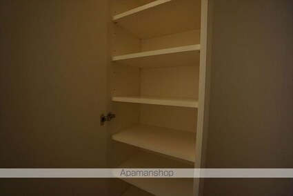 ザ・テラス丸の内[1LDK/43.46m2]の収納