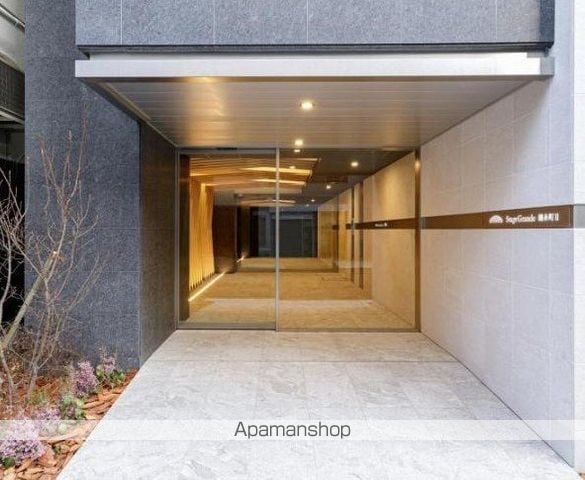 ステージグランデ錦糸町IIの玄関写真