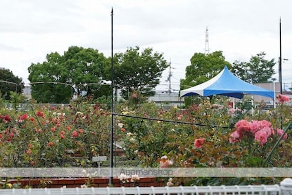 スミタスヴィレッジ藍住[2LDK/60.6m2]の周辺1