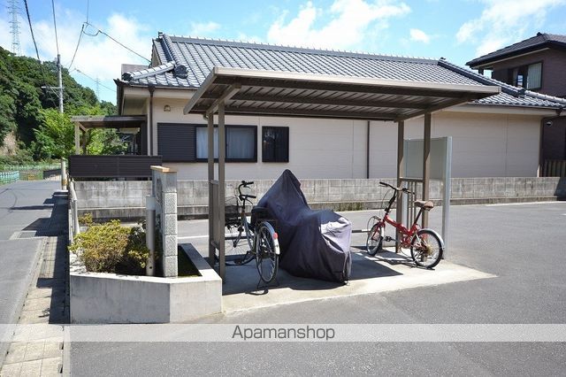 パストラル秋桜のその他写真