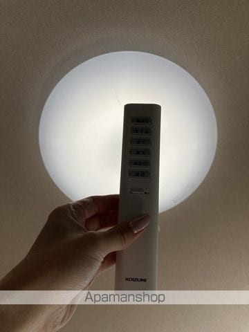 ビオラセアの内装写真