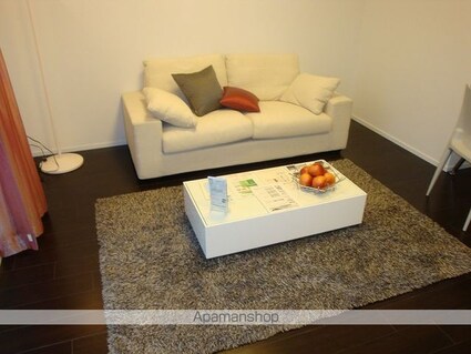 レジディア錦糸町Ⅱ[1K/23.86m2]の内装