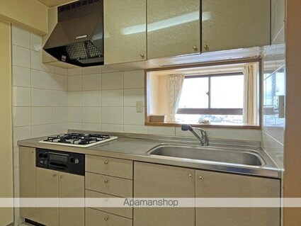 ネオグランデ島中央公園[3LDK/67.4m2]のキッチン